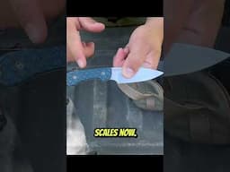Best Fixed Blade EVER #edc #shorts #fyp