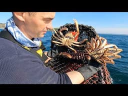 Fresh Seafood - BIG Crab Catch, Clean and Cook - Homemade Red Pepper Crab Cakes | The Fish Locker