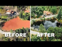 6 Week Pond Transformation