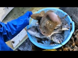 結結はサウナ上がりに最高かと。