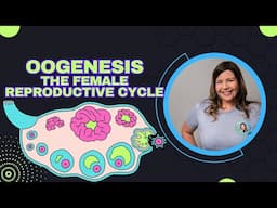 Oogenesis and the Female Reproductive Cycle