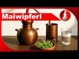Maiwipferl-Geist in einer baumschonenden Variante - selber Schnaps brennen als Hobby - diSTILLed