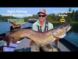 Monster Pike at Hawk Lake Lodge | Northern Pike Fishing | The Technological Angler