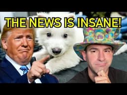 Anti-Trump Protests Erupt Across US | Dire Wolves Brought Back From Extinction