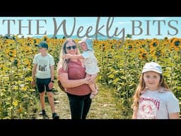 SUNFLOWER DAYS | The weekly bits