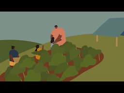 Heroes of Micronesia | Episode One