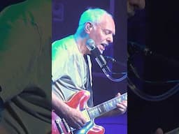 🧡 Peter Frampton - Georgia On My Mind - (Ray Charles cover) - Live