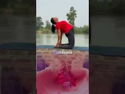 Best 5 Yogasana for PCOD PCOS #pcod #pcos #periods #periodsproblems #yogawithshaheeda #shorts