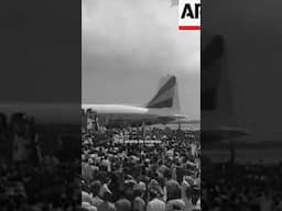 🔥 El día que Selassie pisó la isla, el tiempo se detuvo 🇯🇲👑 - PelaGatos #Reggae