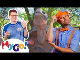 Blippi's Giant Turtle & Animals! | Watch Sign Language Videos | Fun ASL for Kids