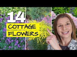 14 Pretty Perennials for a Cottage Style Garden Border