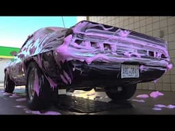 Is this the PERFECT 1969 Camaro?!?!