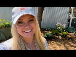 Thinning Apricots, Planting a Dahlia Tree & a 🦖 HUGE Hosta!