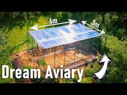 Building My Dream Aviary!