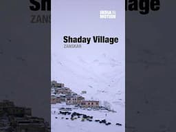 How Yaks help remote Himalayan Villages in Zanskar