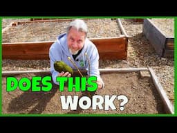 Wooloculture in the Garden