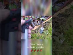 Silver salute M-80 firecracker!
