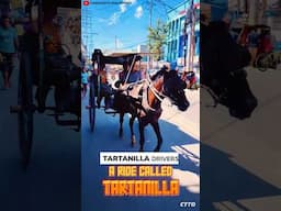 What's It Like to Ride a Tartanilla? #trending #philippines #japan  #viralvideo #rickshaw #share