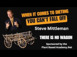 Steve Mittleman - There Is Noooooo Wagon