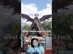 New Flying Ability is not what I expected 😱 Infinity Nikki 1.5
