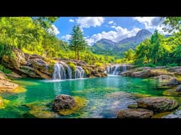 Relaxing Music - Reduce Stress & Stop Overthinking, Sleep Well, Relax Your Mind 🌼