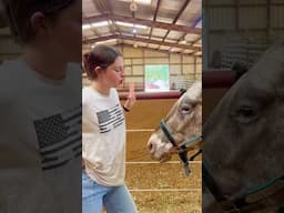 Non Equestrians at the Barn! 🐴 #shorts #animals