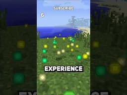 Top 10 Forgotten Minecraft Features 🧱 #shorts