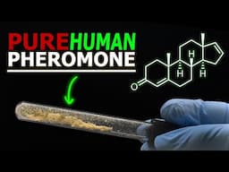 Making a Human Pheromone (Androstadienone)