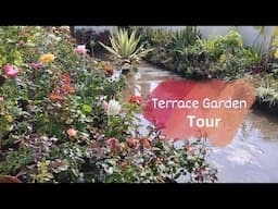 Terrace Garden Overview -Transform Small Spaces with Terrace Garden for Beginners