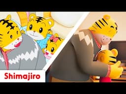 🧢🎶 Go, Dad, Go! 💪 | Shimajiro’s Special Father’s Day Adventures & Songs 🐯💖