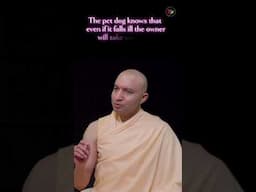 Absolute Surrender - [HINDI] - पूर्ण समर्पण