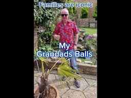 Family is an amazing iconic brand here’s a way how to keep your family memories alive