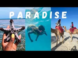 MY EPIC ADVENTURE IN MOMBASA, KENYA: Africa Travel Vlog | Diani Beach, Boat Rides, Snorkelling