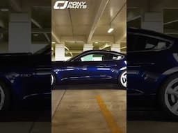 The 50th Anniversary Mustang is BEAUTIFUL 😍