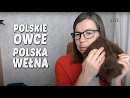 Polskie owce, polska wełna. Czy polskie dziewiarki chcą dziergać z polskiej wełny?🐏🧶🐏🧶