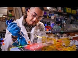Cancer Research Institute: Who We Are