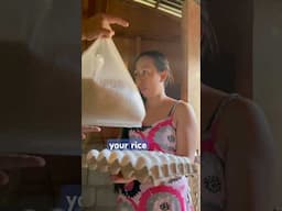 We give away a rice chicken egg today ￼ #chefricardocooking #viral  #philippines
