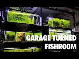 22 Aquariums in Garage - Fish Room Tour