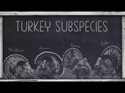 OnX Turkey Academy • Lesson 9 | Turkey Subspecies