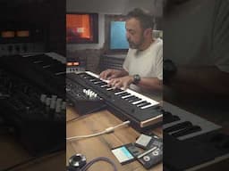 FM Pianos - Korg WaveState Soundset 🎹 Keyboard Essentials Vol.1 #korgwavestate #wavestate #korgsynth
