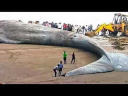 BIGGEST CATCHES OF ALL TIME