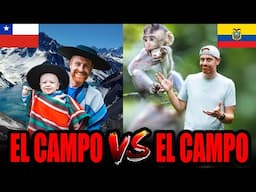 Del campo chileno a la selva ecuatoriana: ¡Las diferencias te van a sorprender!