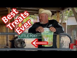 When Goats attack