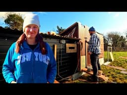 DIY Goose House & the Automatic Door That Almost Broke Me!