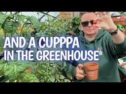 Back in the garden- garlic woes, herbs for tea and a trip to Scone Palace garden fair