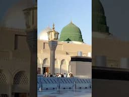 Roza e Rasool ❤️❤️❤️❤️