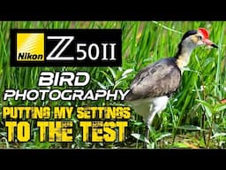 Nikon Z50II Bird Photography | Putting My SETTINGS To The TEST!