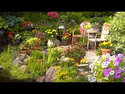 Great Gardening | Proctor Garden Tour, Veggie Tips & Hydrangeas