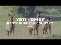 Restoring Elk Country - Tule Elk