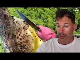 Harvesting the world's most dangerous foods